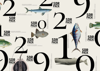 SDR PACK AGENDA 2019